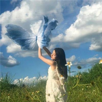 金鸡2